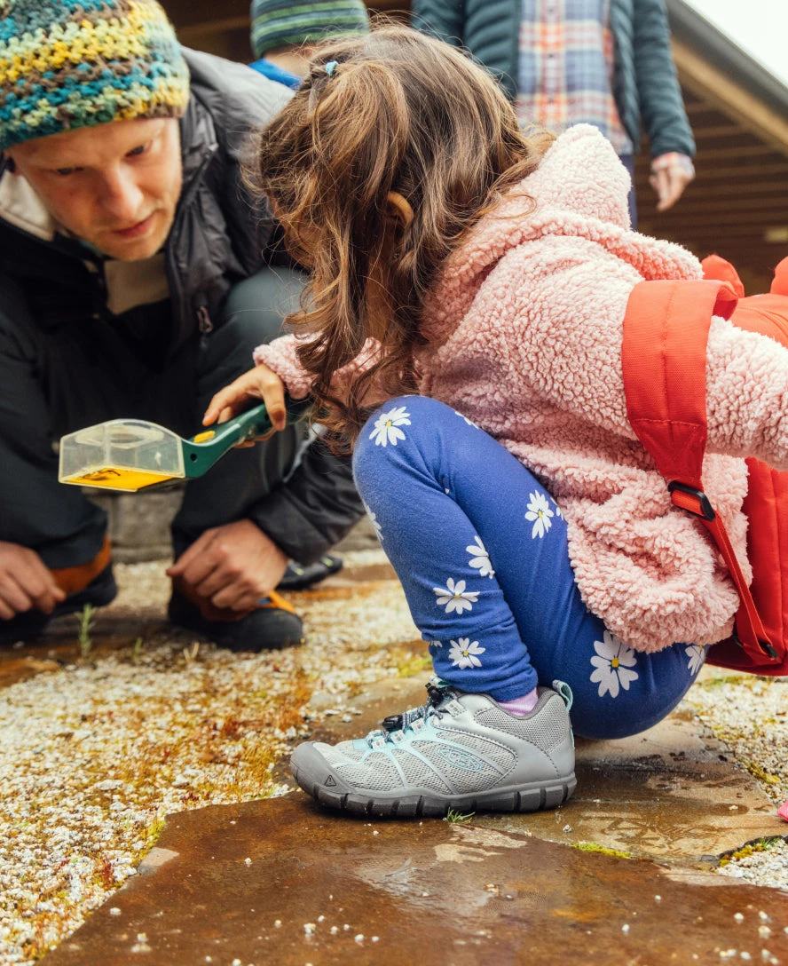 Keen Little Kids' Chandler 2 CNX Sneaker | Antigua Sand/Drizzle 7 Keen Little Kids' Chandler 2 CNX Sneaker | Antigua Sand/Drizzle - Image 7